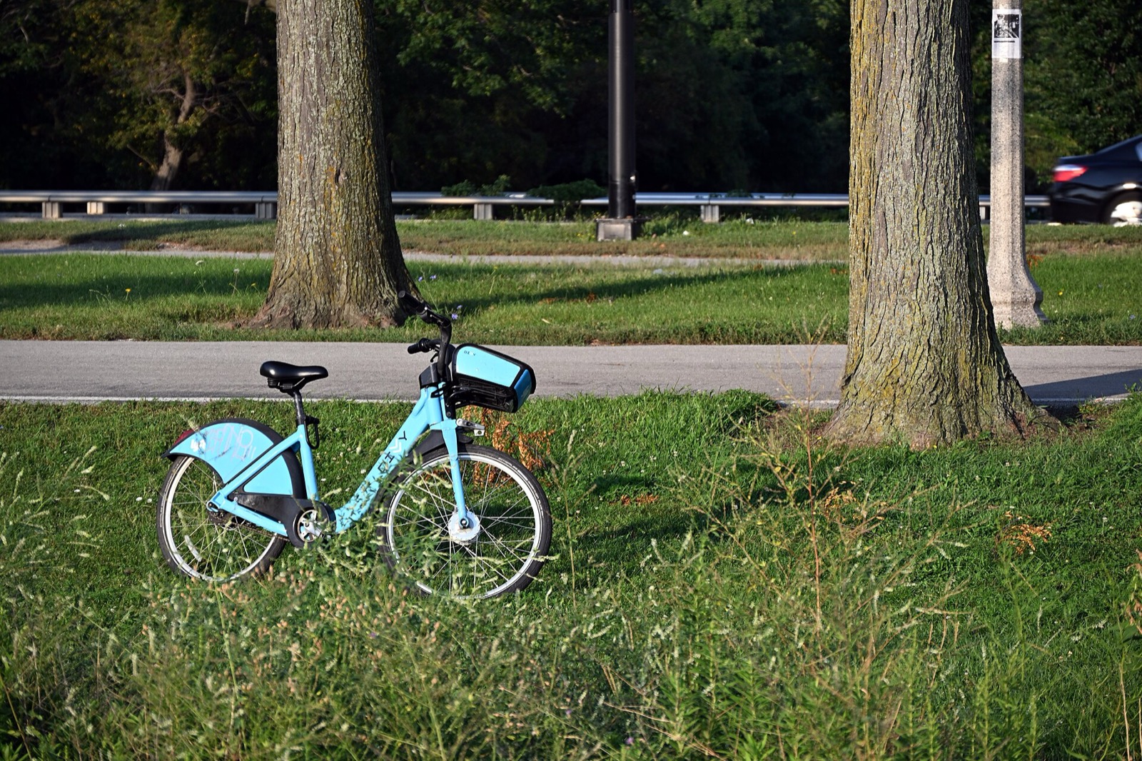A light-blue bike standing in grass beside a paved lakefront path in Chicago