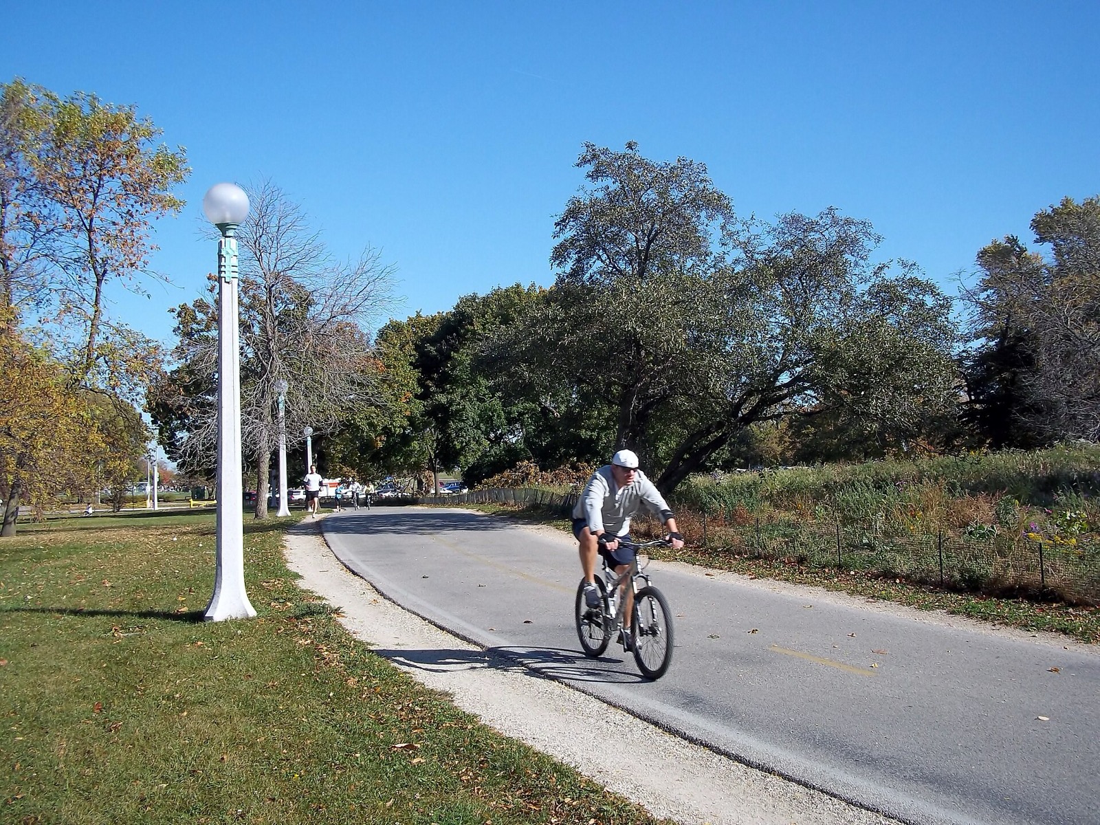 A cyclist rides a paved path through trees along the Chicago lakefront
