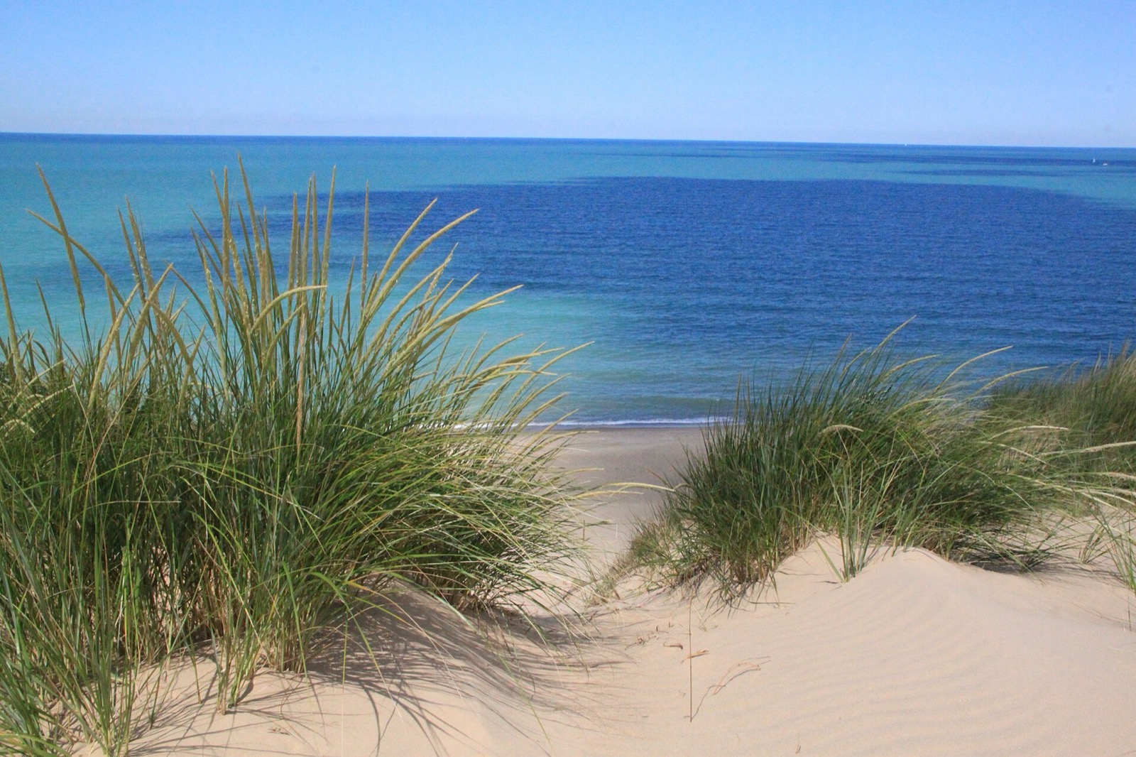Beach grass on a dune above Lake Michigan at Mount Baldy