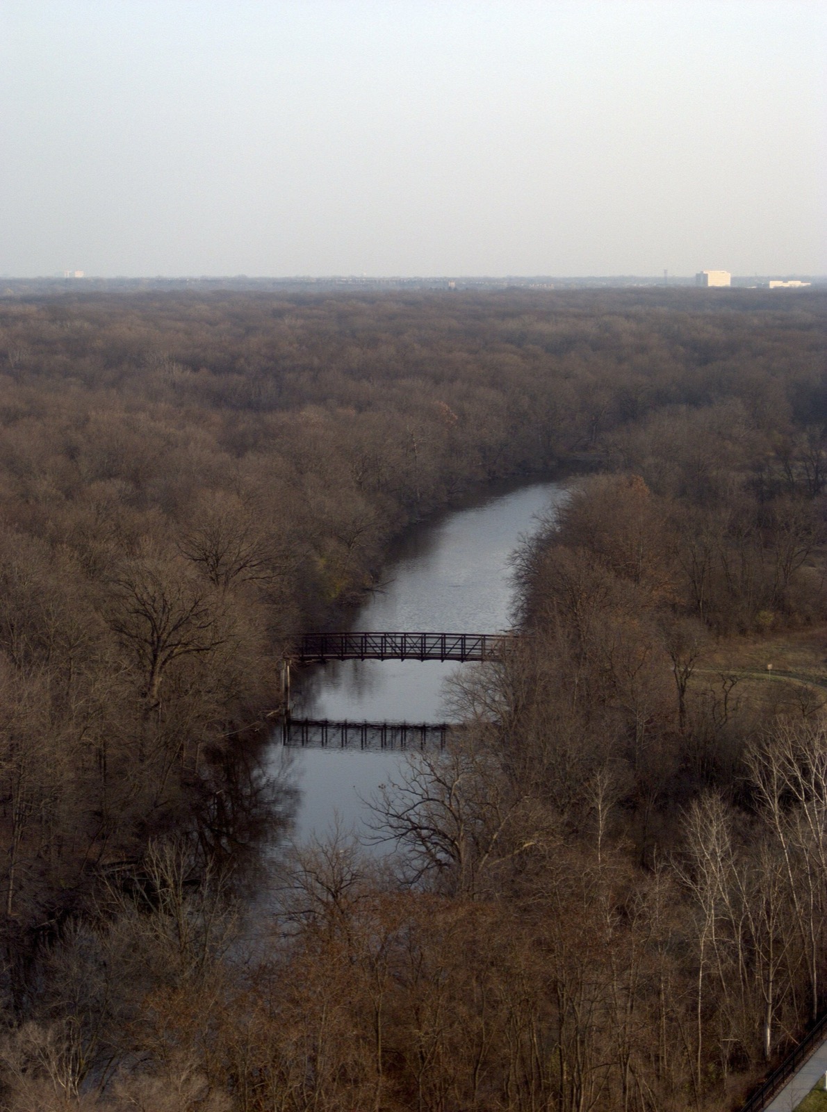 A footbridge over the Des Plaines River in bare November woods