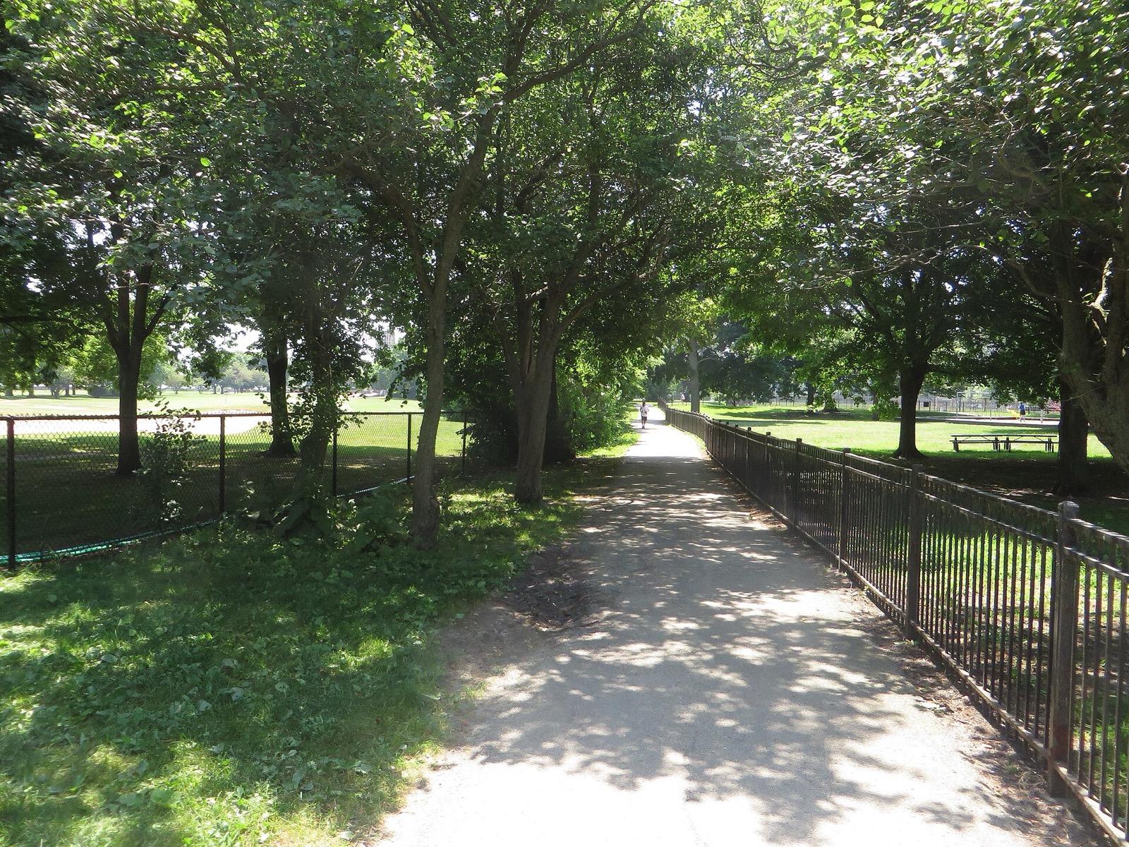 A shaded paved path through Lincoln Park