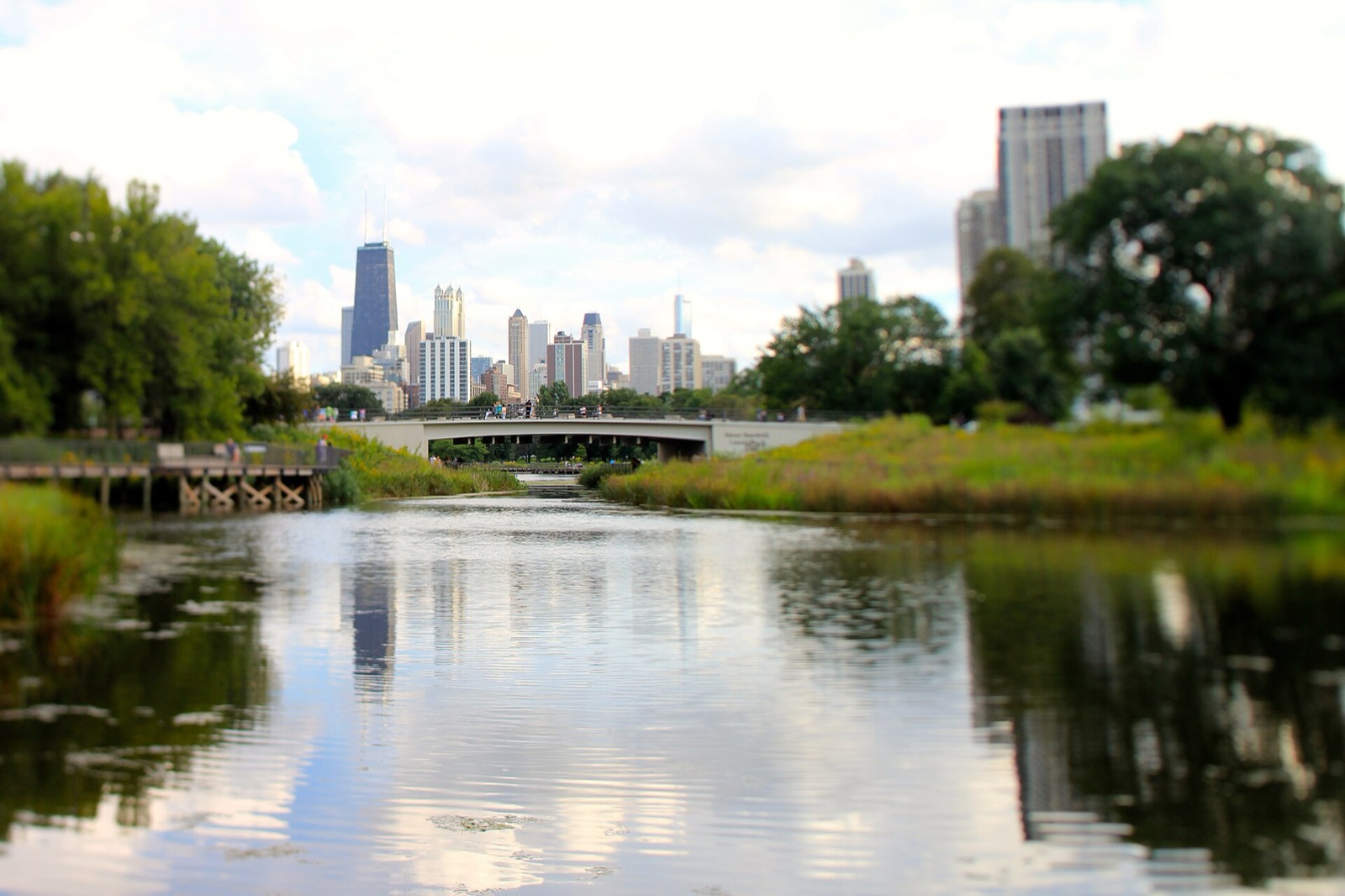 The Nature Boardwalk pond beside Lincoln Park Zoo, with the Chicago skyline beyond a footbridge