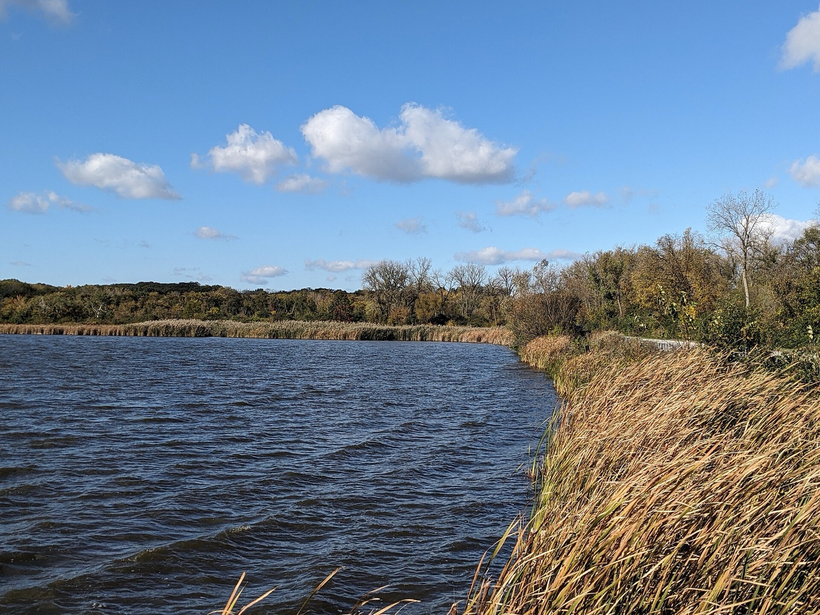 Saganashkee Slough in the Palos Forest Preserves