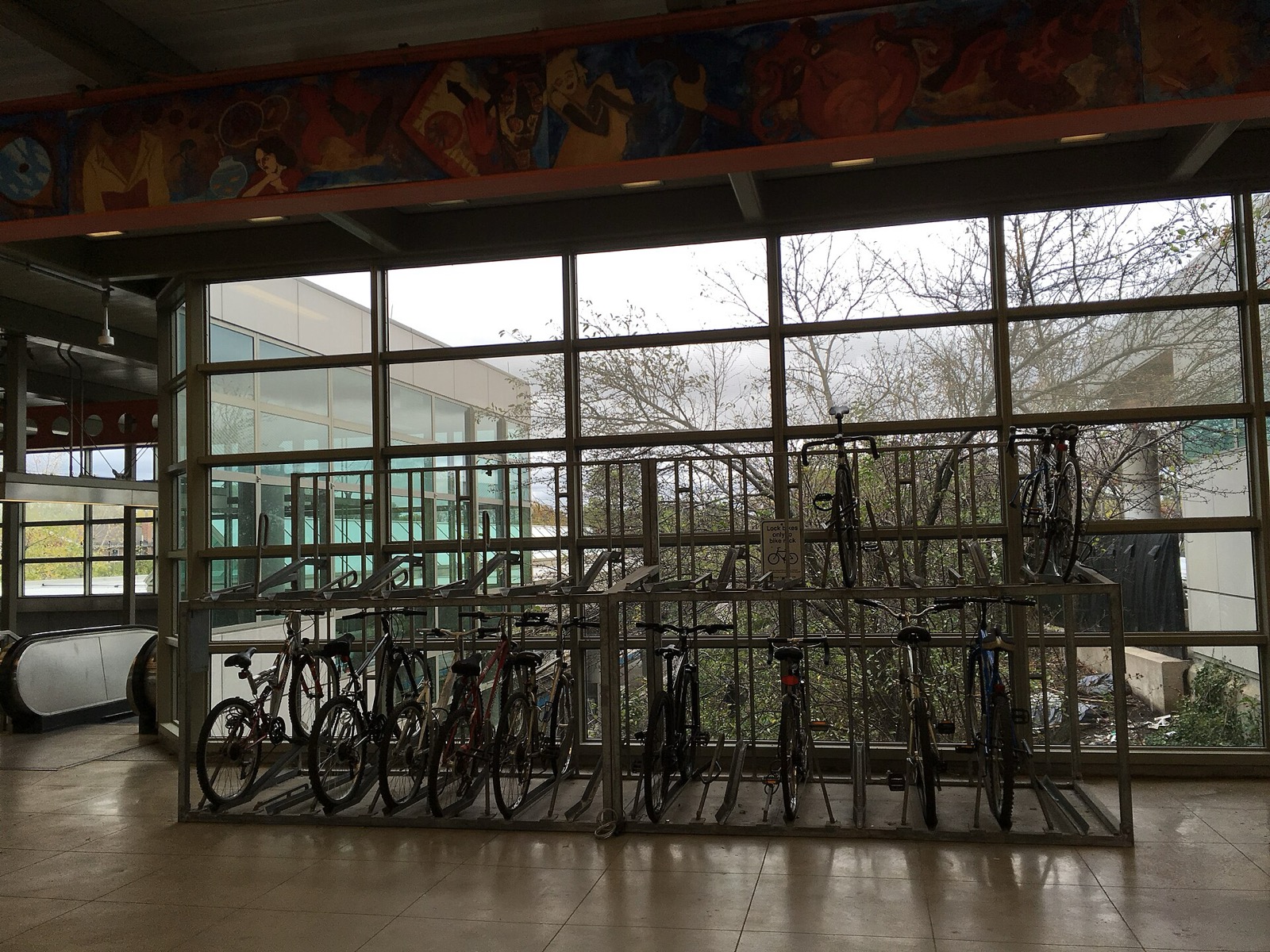 Bicycles stored in a two-level indoor bike rack